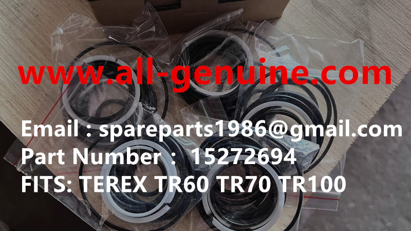 15272694 SEAL KIT TEREX TR60 TR70 TR100 TR50 MINING DUMP TRUCK